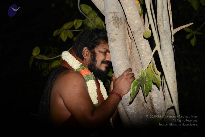 20170319 Photo 1026 1LukfukYQ8h2Isj2oL35yGaJ27iUpcbaB.JPG