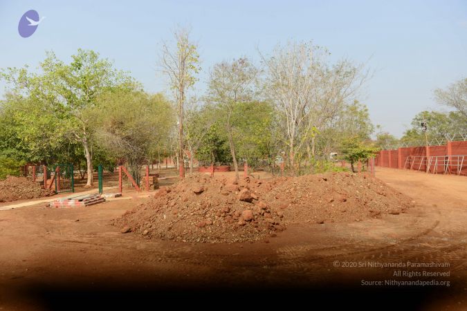 20170319 Photo 1039 1jVzMlFLtxL7RdDAxFJuZ-CkPjGGAJk8H.JPG