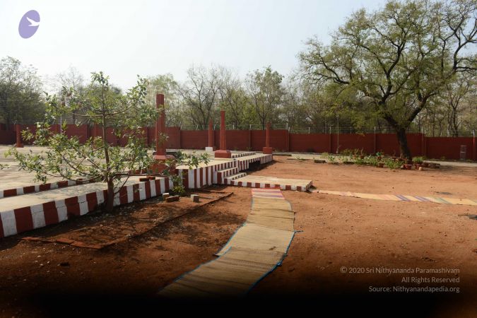 20170319 Photo 1041 1GqUaKd2Yh7nc8nedgRqhzWnMufiRVbWy.JPG