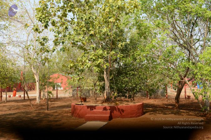 20170319 Photo 1042 1k70fkbgPvU-3CtcRY1d2ulFFcFRxU-0P.JPG