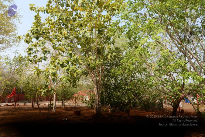 20170319 Photo 1044 1e7a1Wh2zA6GulBDRFdnWRiXcHv9BK5Vf.JPG