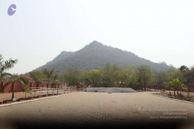 20170319 Photo 1051 1gAySZr OWdjZpOdQeFtag6t6 EtOSv7P.JPG