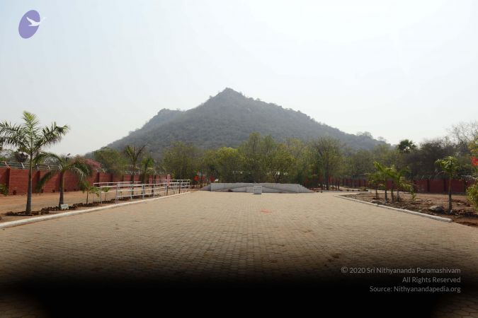 20170319 Photo 1053 1w3eE5Yj-PnQCcfXyTYLr1X8Jj8mhDHHQ.JPG