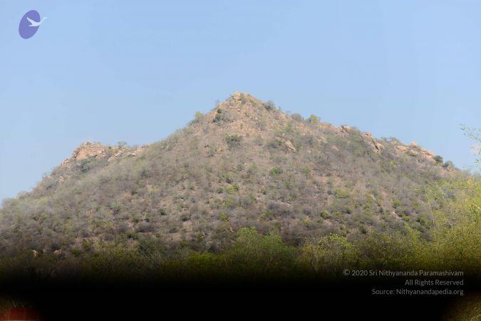 20170319 Photo 1055 1SqfSK4Qgt-uRG eAhjwh75b50e4bOL0h.JPG