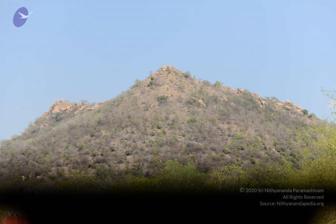 20170319 Photo 1056 1xGPH6bEiMiZZkz9neUTbKFG4l1ipQwP8.JPG