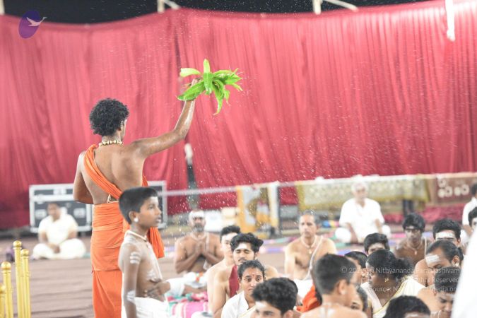 20170403 Photo 1263 1o2cg8aE8xI-axZGfdEzGS23wJq-uqTQg.JPG