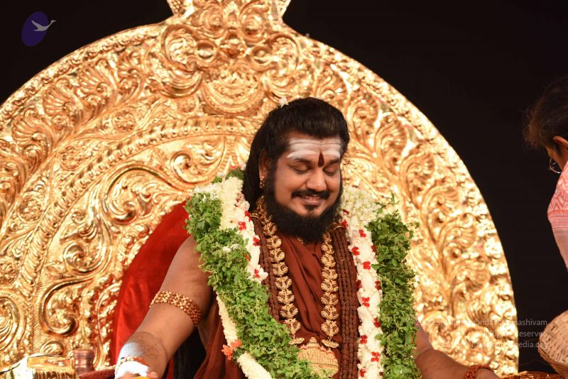 File:20170409 8748 CMP WM.jpg