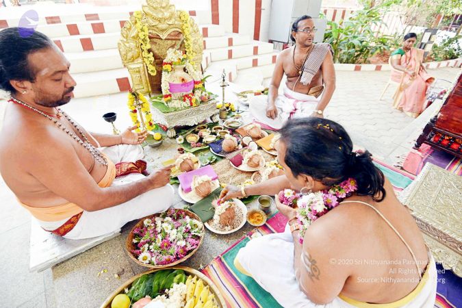 20170417DSC 2252 CMP WM1111.jpg