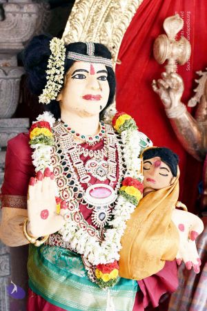 20170417DSC 2292 CMP WM1111.jpg