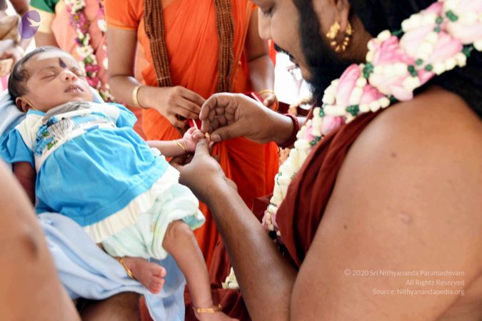 20170417DSC 2560 CMP WM1111.jpg