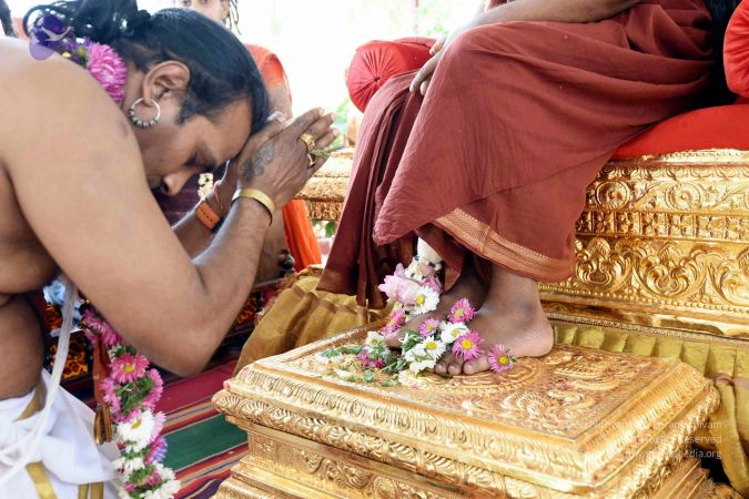 20170417DSC 2643 CMP WM1111.jpg