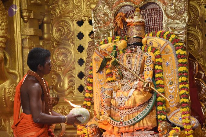 20170505 Photo 1220 1UtNuB1el82Oo4nmEUXtRtHCDmKvx5iPb.JPG