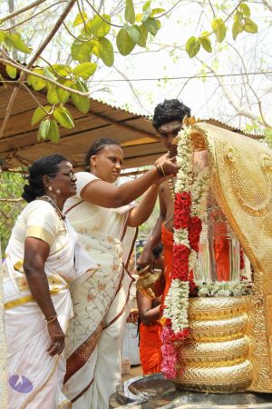 20170510 Photo 1002 1U22Whrtvb5IsaDsp72DYBB5263hqMwDs.JPG