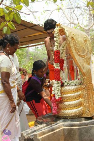 20170510 Photo 1003 1tEpKBZdsARz9lVmkNuQT5nXySZ V0nPr.JPG