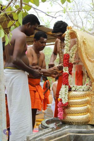 20170510 Photo 1006 1CuqTNnwqqCK-HlqD3B1yEEMRUtwxrFET.JPG