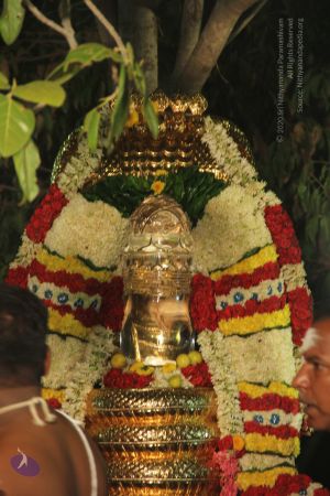 20170510 Photo 1158 1 Y jew-BILxGS550JF2tHnGXefjNRwC2.JPG