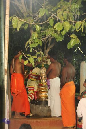 20170510 Photo 1162 1XMx7hYnOx74YwEUr9M7LyyJ1xbhRMr6Q.JPG