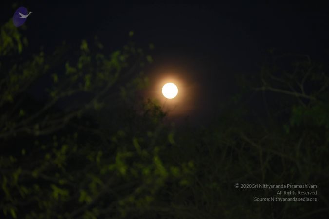 20170510 Photo 1692 1K1oEZrHS- m6 EjFcxuKswJTS7HIT2M .JPG