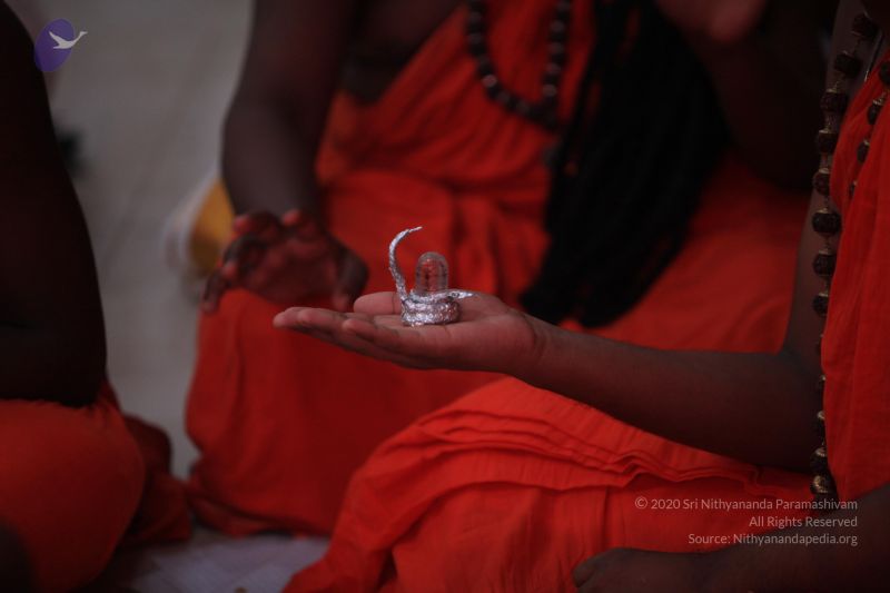 File:20170520 Photo 1048 1f5cQXmLC4zi8AJPy4DzAGcnnyLbHuwje.JPG