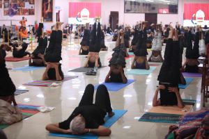 20170522 Photo 1006 17lVDPVkCN-1LU3r78B7RDvnKW6NfJufZ.JPG