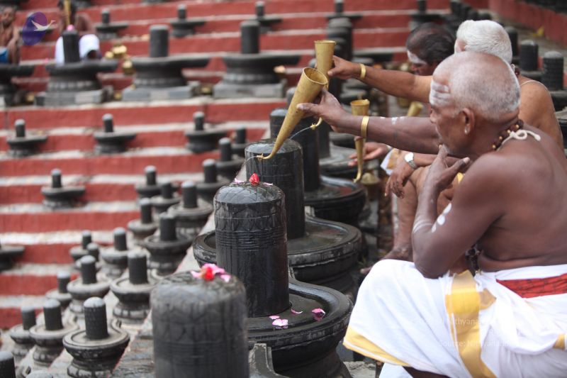 File:20170522 Photo 1013 1pNdje6raNxlBB2LmAtVOZA2keqWKn5iD.JPG