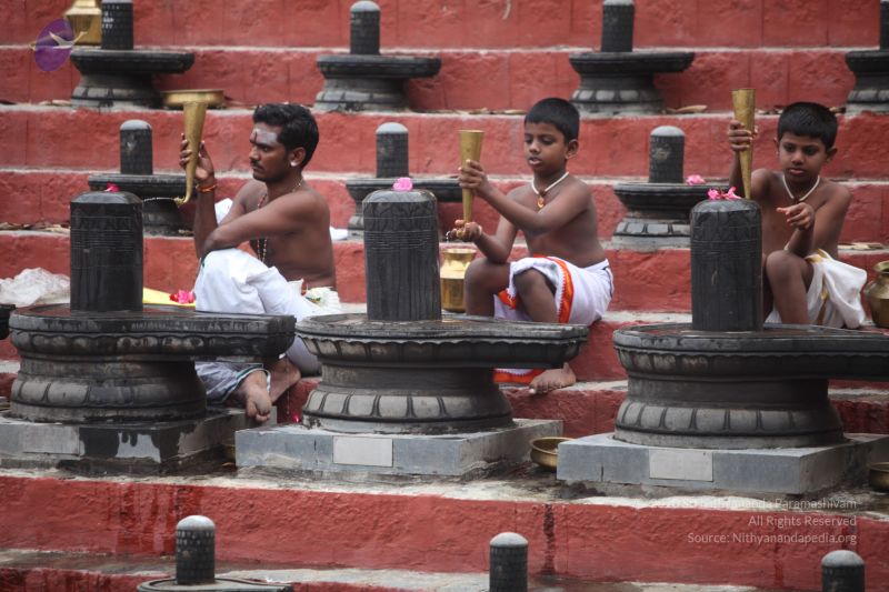 File:20170522 Photo 1014 1588PYwMiHPqRH9sECdF2bujtN4DHr20b.JPG