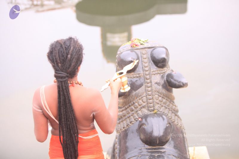 File:20170522 Photo 1020 1KYd82fEM3k88Sk6HN1JtwTNT6mySnIph.JPG