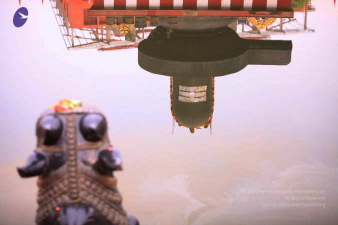 20170522 Photo 1021 1g2GjZWSqH7QKz4HiE8iwX-finWQDYaM0.JPG