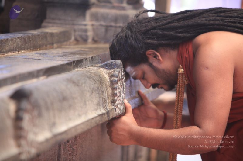 File:20170522 Photo 1131 1eyB7khZKTzncLWhxaMRjYJw3RsJ9Ztq0.JPG