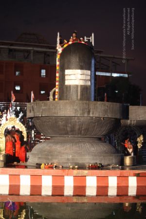 20170522 Photo 1205 15WHMFfaNQnu 5H17OKB--yabNUM7HBCY.JPG