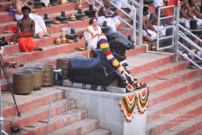 20170524 Photo 1443 1IZ5cWe3mMabbLsQKpFy06Sk H1oUsLJy.JPG