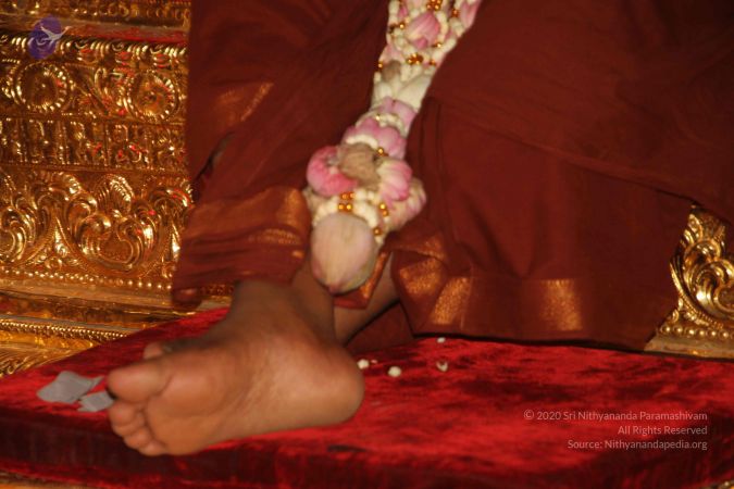 20170526 Photo 1891 1FBJ 4Wwzu31YxbUuJ8BwzR2smWkAaDPs.JPG