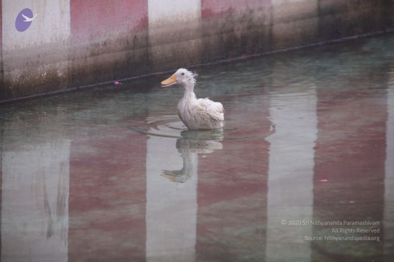 File:20170626 Photo 1078 1UGyIHWdRjyv3aj2q8IKZRbnBHBLHlf7E.JPG