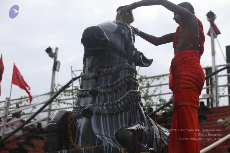 File:20170626 Photo 1134 1 fHGxziQbH9nHpjH6otxqDfR8NVPi3uG.JPG