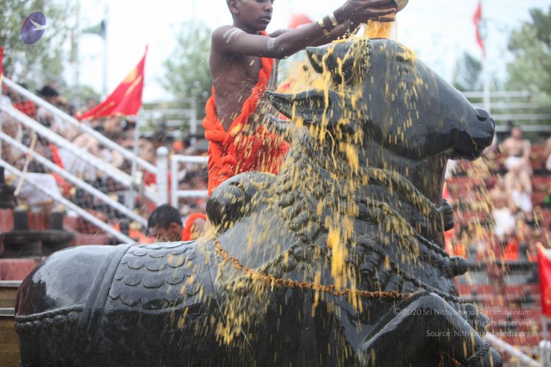 File:20170626 Photo 1141 1iTn6KRgitw3g-aSda4LJKfov1WFdSeMX.JPG