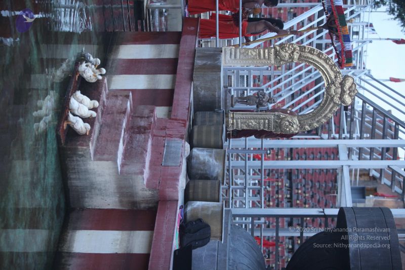 File:20170626 Photo 1181 1YcTVm4y2TqEtWLU-BVlu0uito8h19wF1.JPG