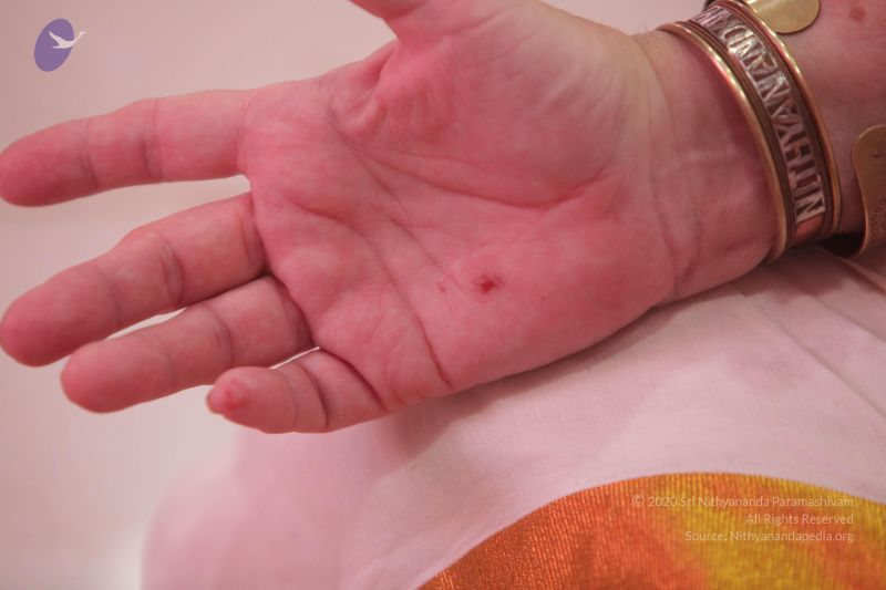 File:20170626 Photo 1326 1N5UWfLTL5nkOyZhQlqob6NdvLFdt72XO.JPG