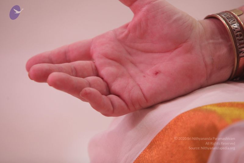 File:20170626 Photo 1327 1WfZ BiWncy nk8dz0TDnsSx8vm3AllZm.JPG