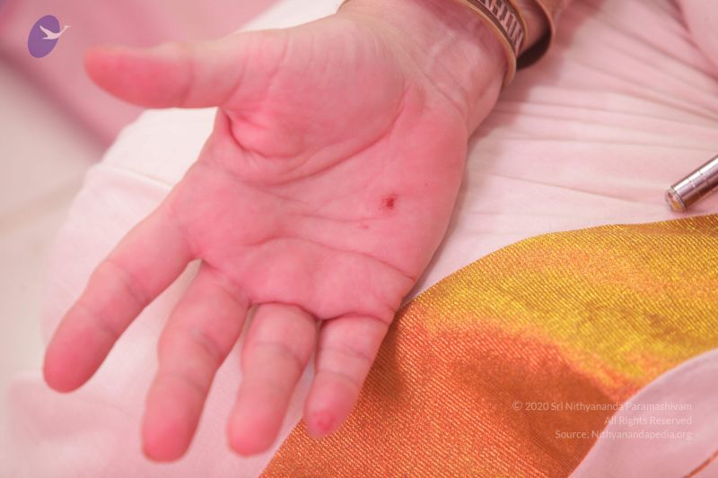 File:20170626 Photo 1432 1vXtEn6x3v 2qhNaOtDRQ6xJTadlZnMqc.JPG