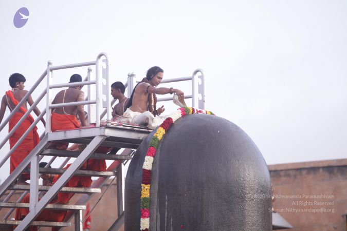 20170703 Photo 1126 1Sucxa2LtP6XUOdWZqkBSVAoIDbbw8JK-.JPG