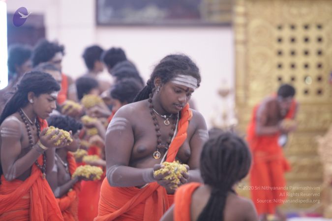 20170703 Photo 1290 1OZwVFcIDCZbtL6UJ0j QyDHEp6MxlTdk.JPG