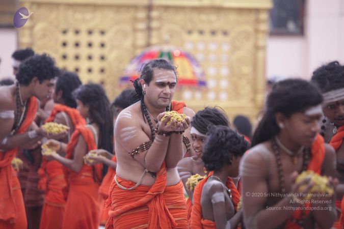 20170703 Photo 1303 1iN8oXr5naA2tyQRwCwIdIf6fm6JC23Be.JPG