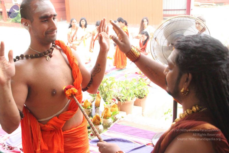 File:20170704 Photo 1127 11pXuamBLaQkXeM8KRr9pM9Fjaz9ldOxk.JPG