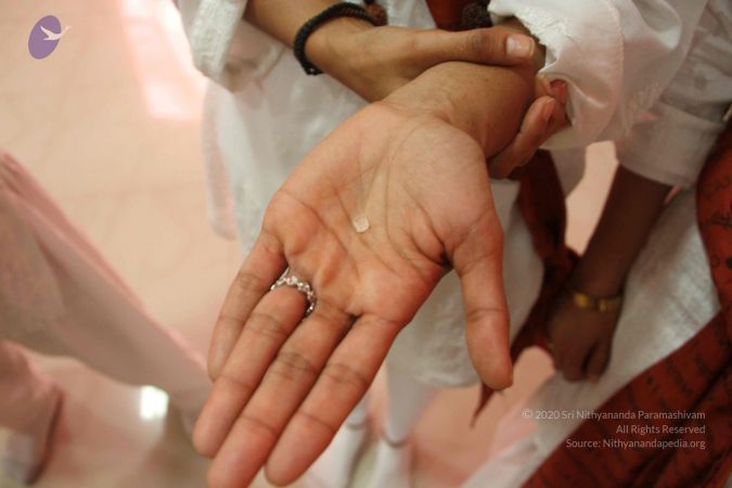 20170705 Photo 1677 1YcQ6kG1l8juNOeEHefngtF4pjLNJTQHi.JPG