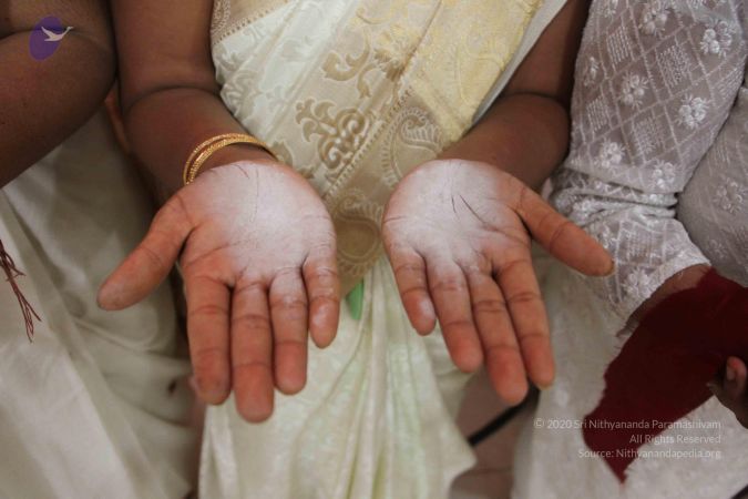 20170705 Photo 1679 1OzAibJ49 mOB1O5tqlgqd2WmLlhXTYl9.JPG