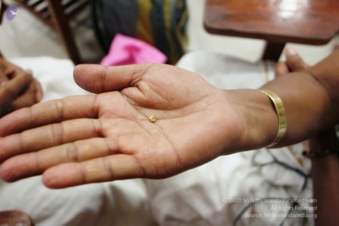 20170706 Photo 1069 1eU2qAEf--IMoqNtz796eReJu48sQfzQR.JPG