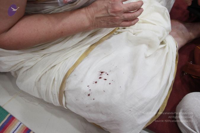 20170706 Photo 1076 1AtfQ5OhOOnuuqlRdVJnPFJenaPmTIBWO.JPG