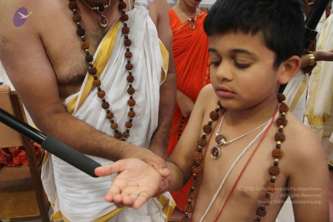 20170706 Photo 1108 1IZSz6d2IR9r8rf7rjsguvkcETsfHRRiY.JPG