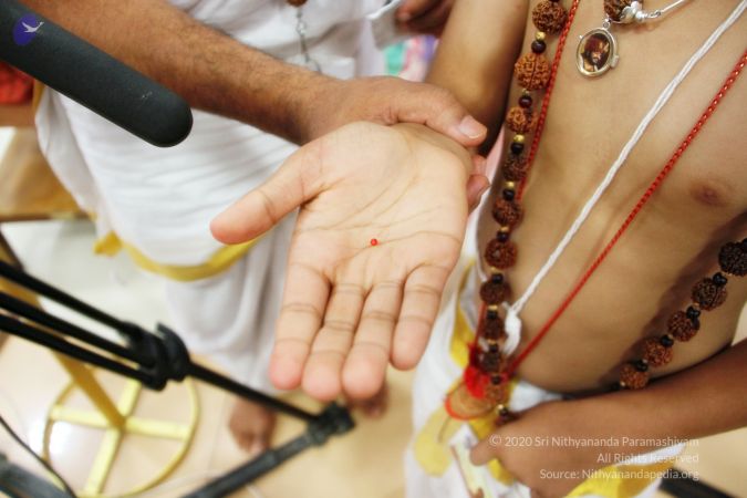 20170706 Photo 1109 1o-vygKgzvFpgfspM9pEXqh-tzLzfkKDs.JPG