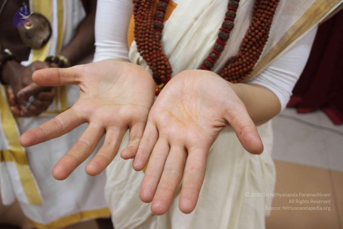 20170706 Photo 1136 11jY um4U Tf37N8mlhpIN69pCdYVLV8 .JPG